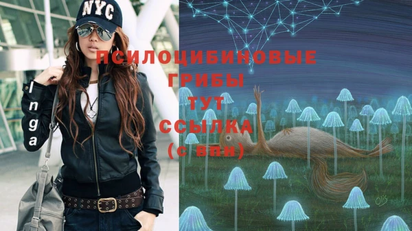 mdpv Абдулино