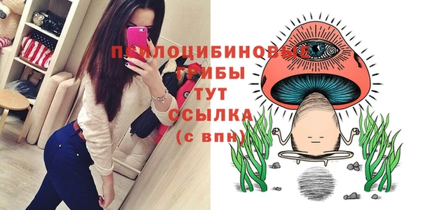мдпв Нефтегорск